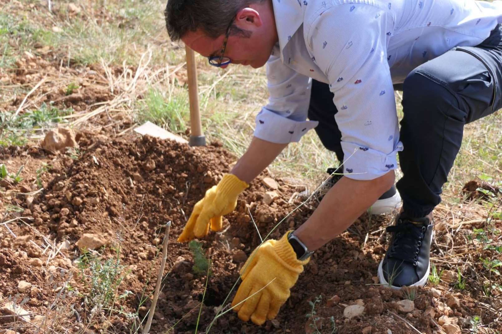 El 9º bosque del programa 'Juega tu papel' llega a Alicante