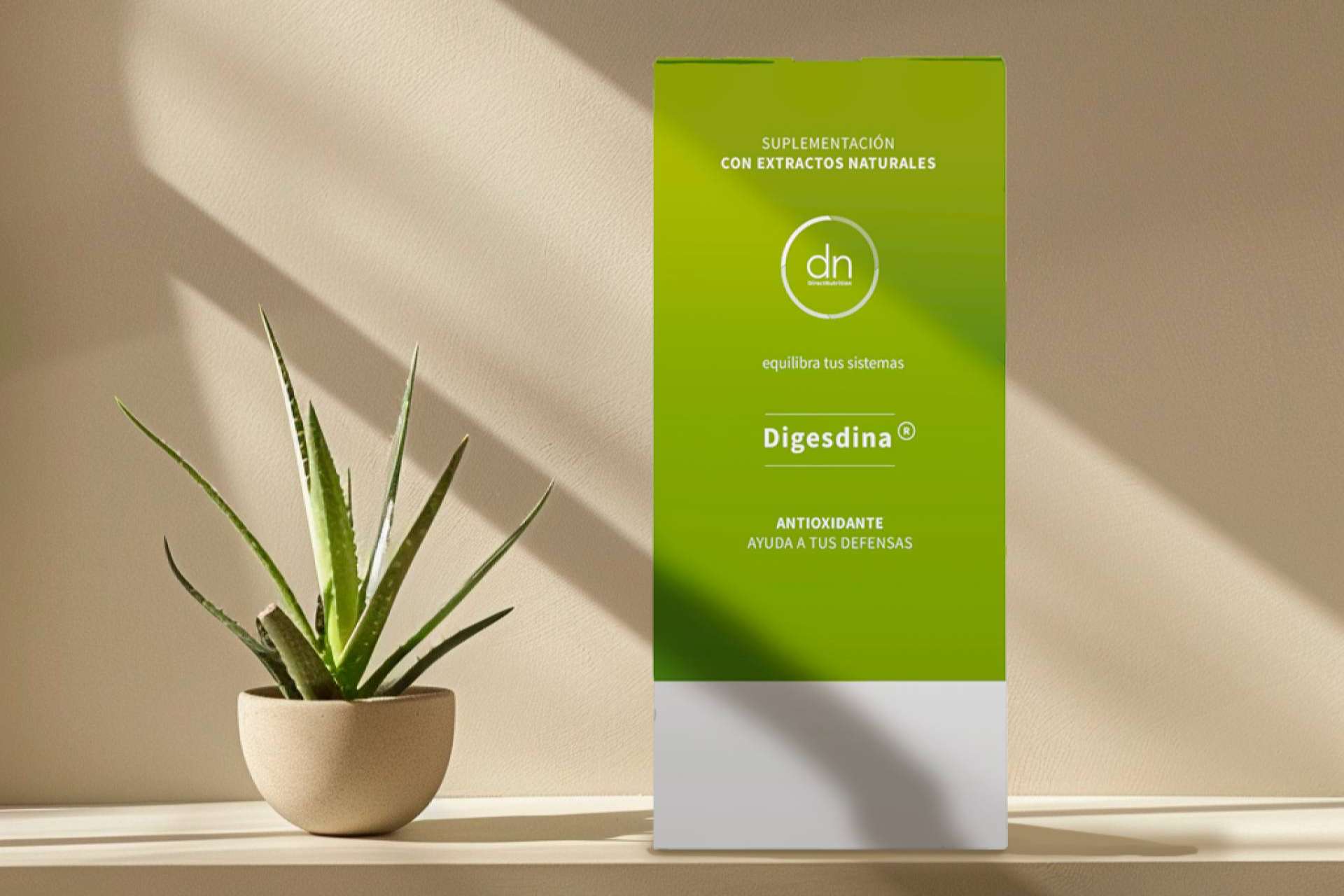 La digesdina ayuda a fortalecer la salud intestinal y a mejorar la digestión de los alimentos, por Direct Nutrition
