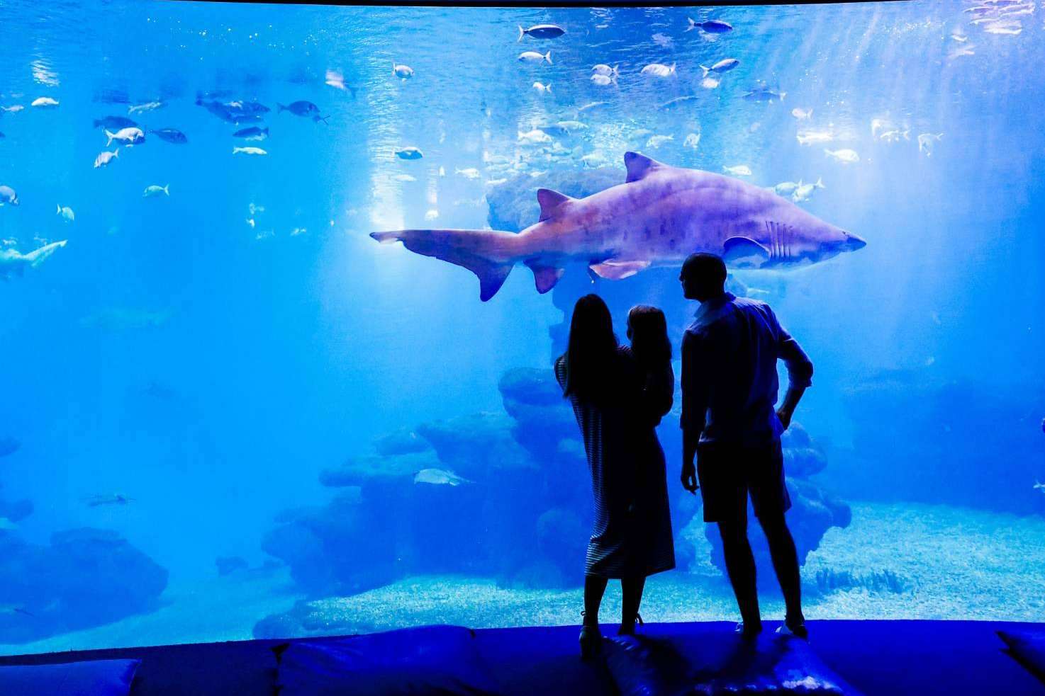 Descubrir el otro lado de Mallorca con Palma Aquarium