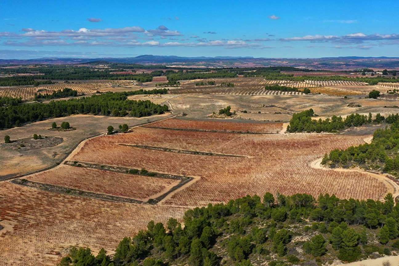 Pago de los Balagueses, un vino de pago que rinde culto a la ecología y la unicidad