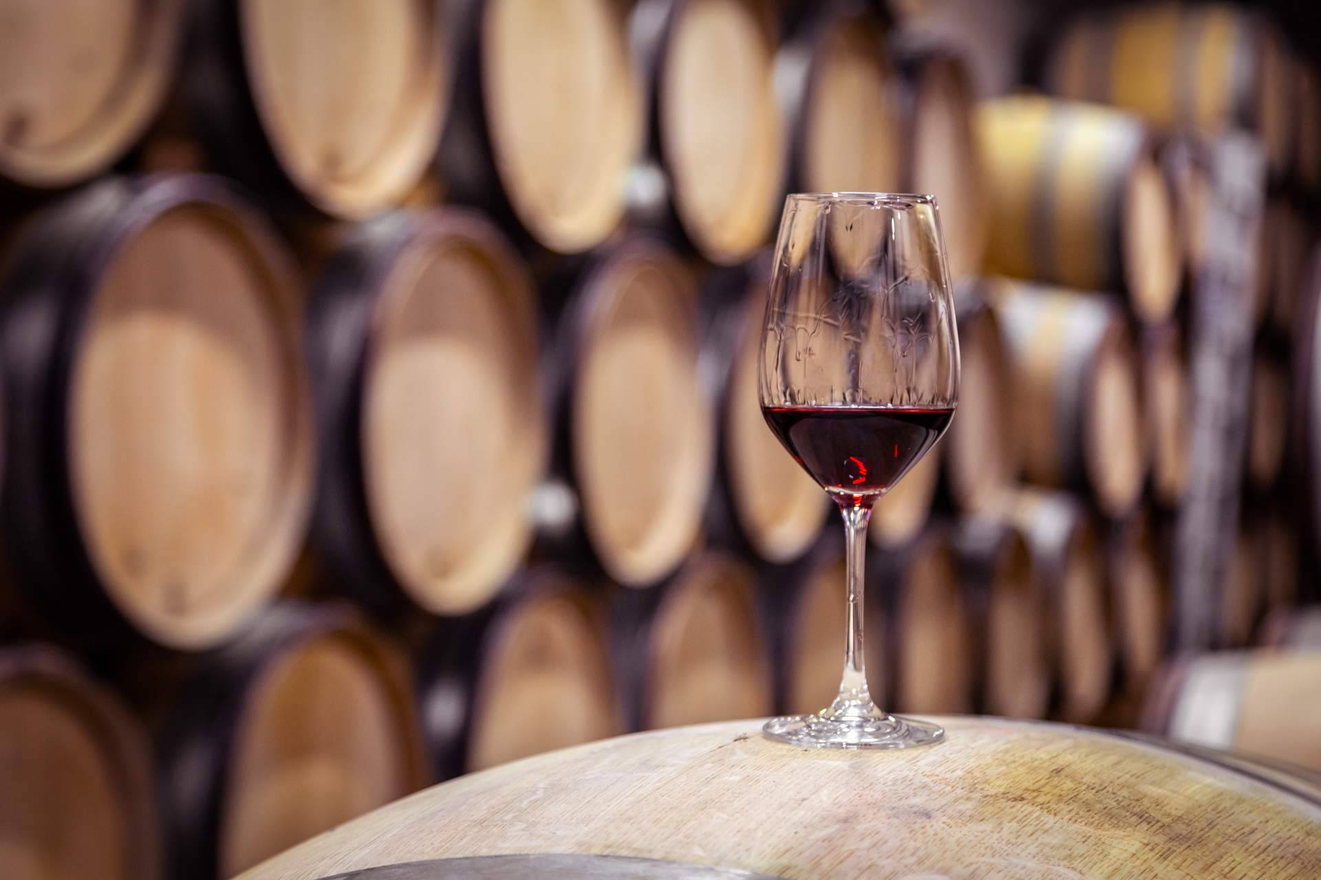 Emilio Moro; Una de las mejores elecciones para los amantes del buen vino