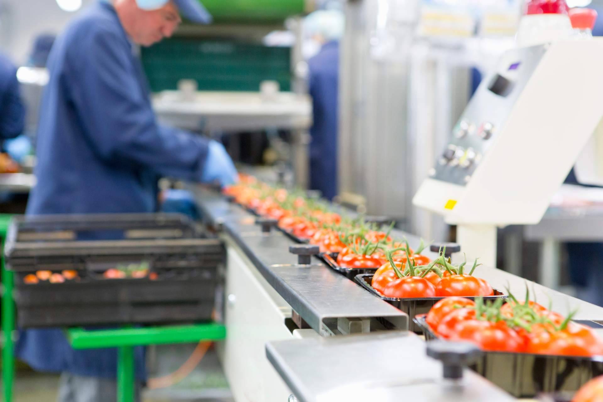 Ingade cuenta con un equipo de especialistas en seguridad alimentaria para acreditar normativas aprobadas por la GFSI