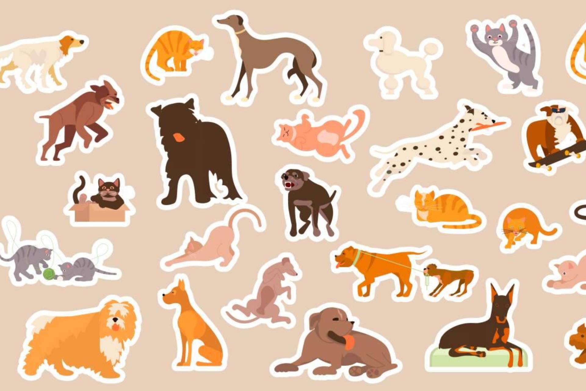 Los retratos de las mascotas; un recuerdo inmortalizando su esencia