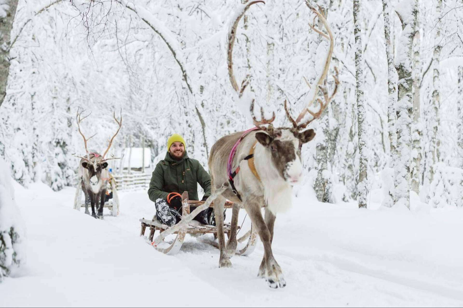 La Navidad en Salla es uno de los viajes más populares de Visita Laponia