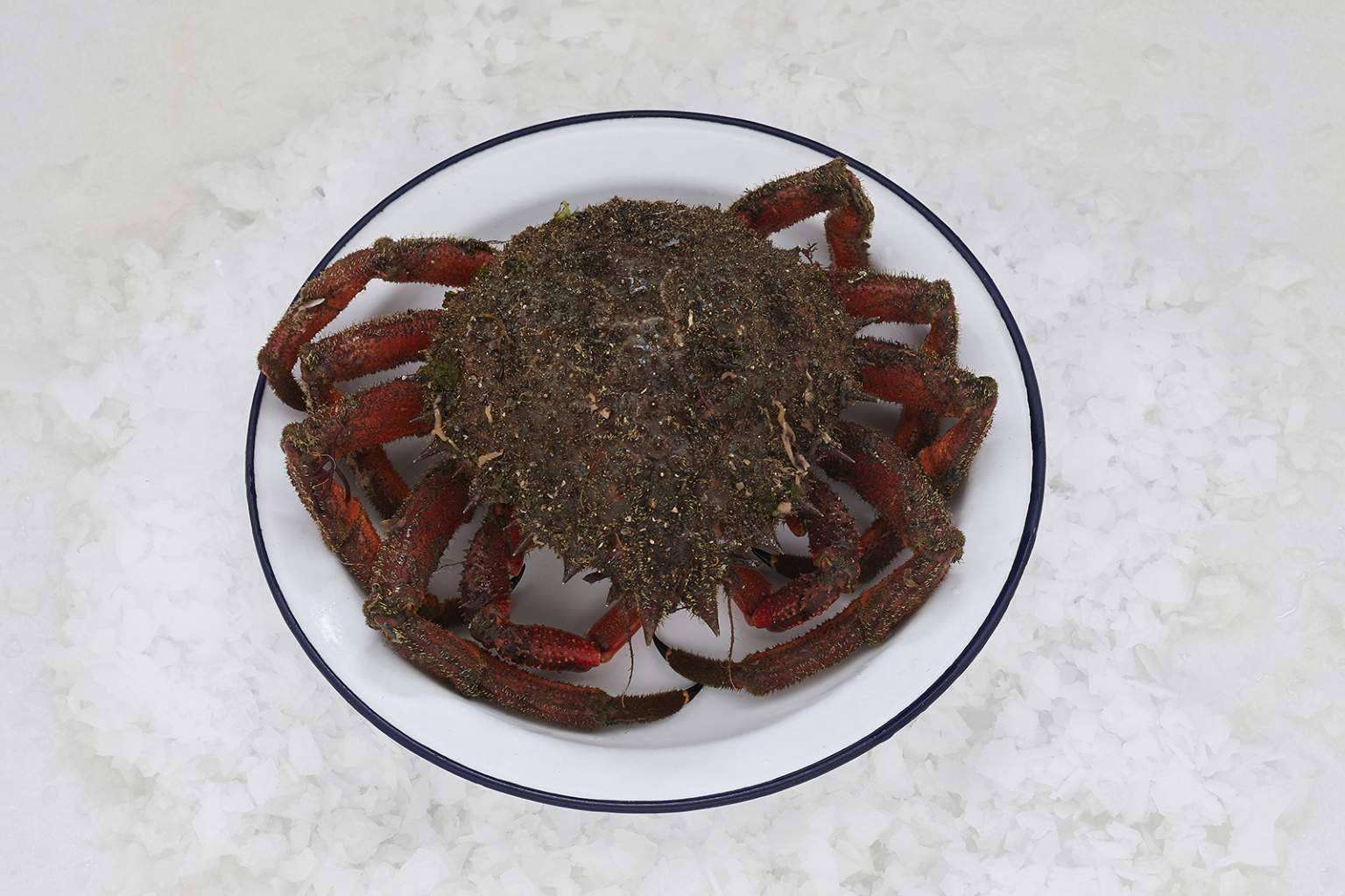 Marisco en Navidad; ¿Por qué comprar el marisco ahora y no dejarlo para el último momento?