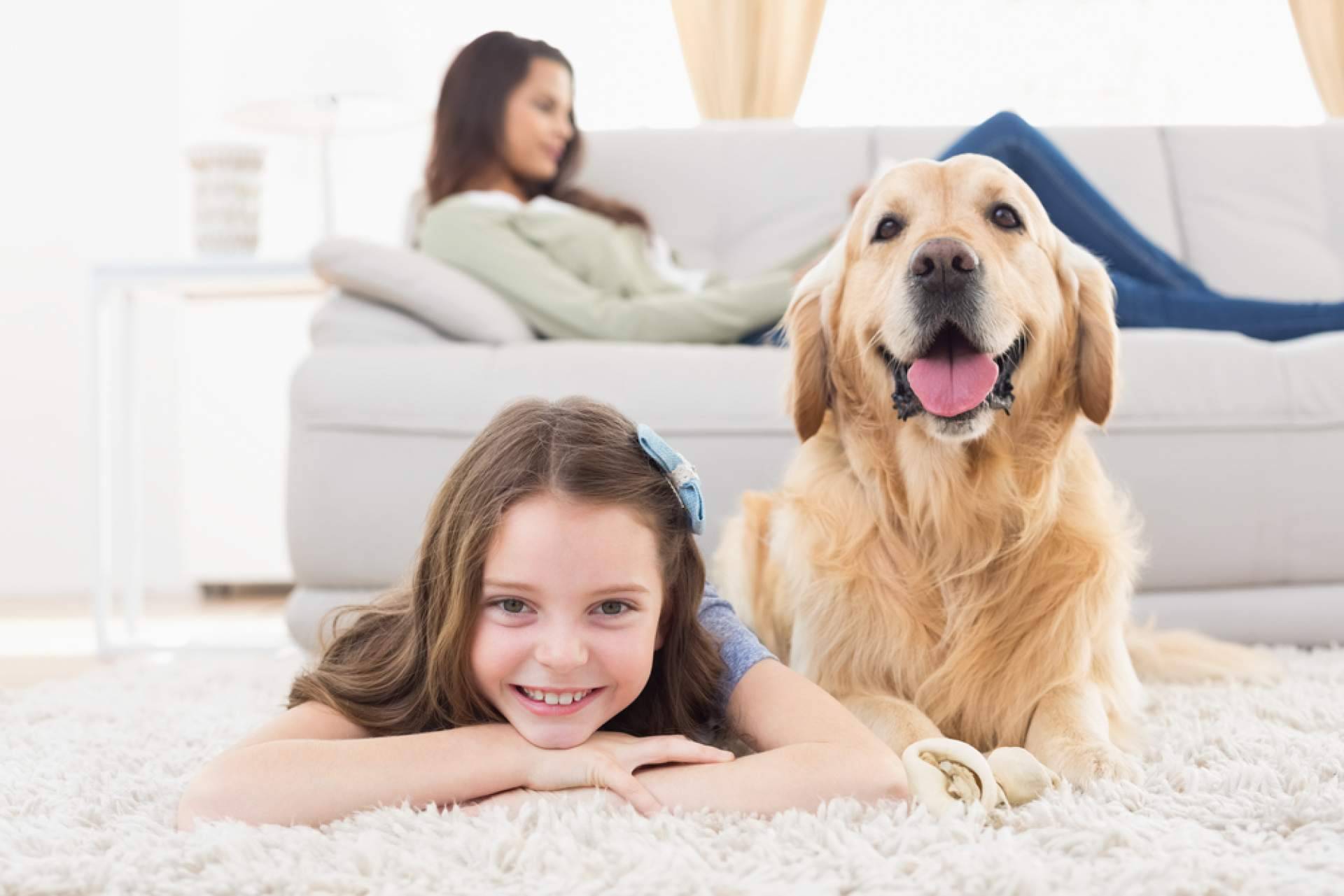 Comodidad y estilo, consejos para elegir el sofá perfecto