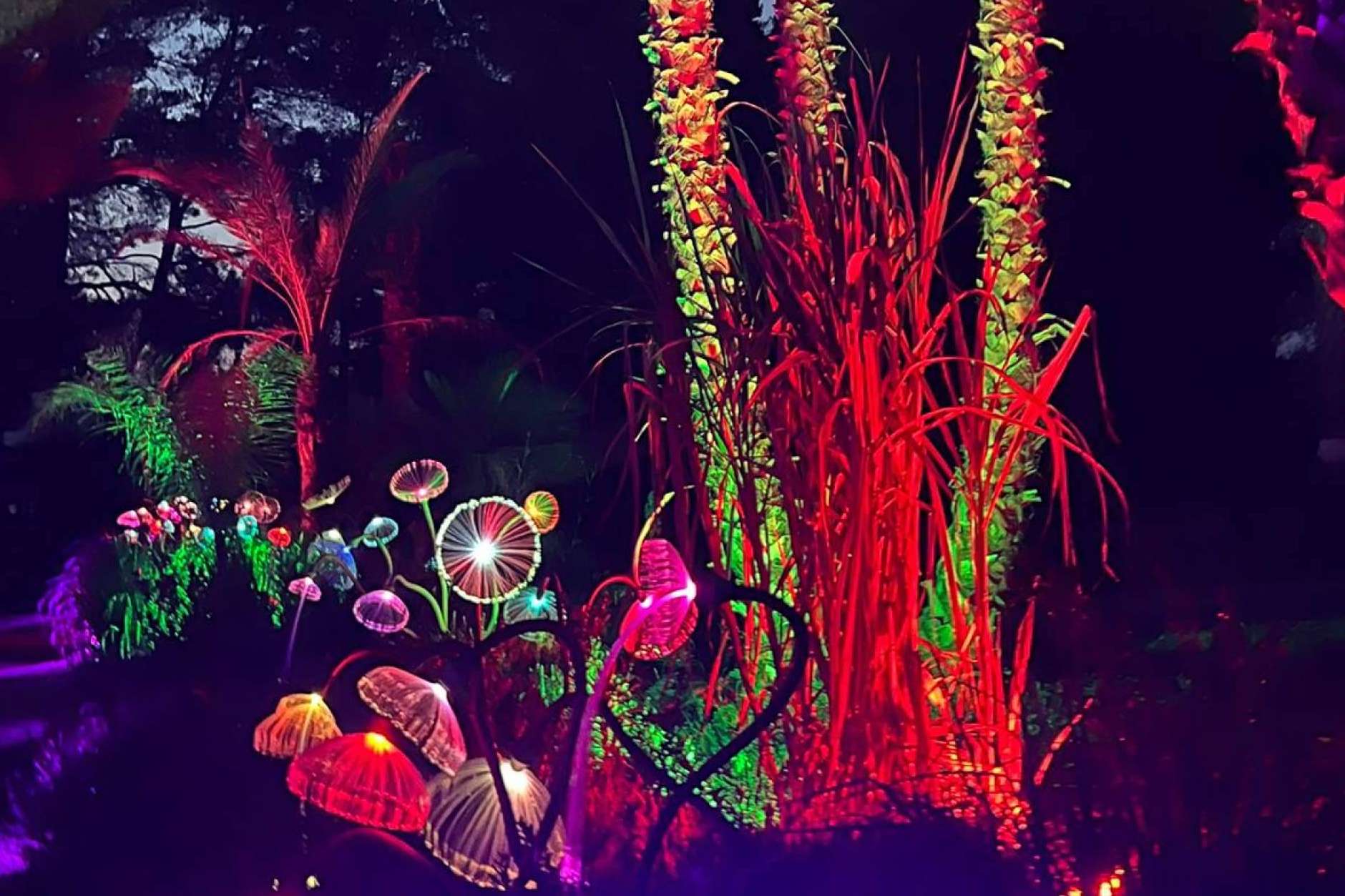 Entre los imprescindibles que visitar en Ibiza; Bibo Park, donde la biotecnología se une a la naturaleza