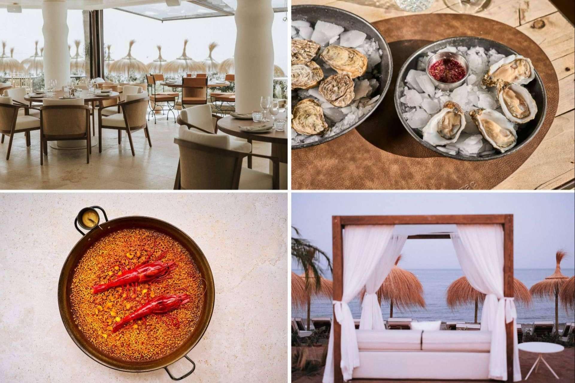 El restaurante Barbillón Marbella, arranca la temporada con una carta vibrante que sabe a mar y a verano