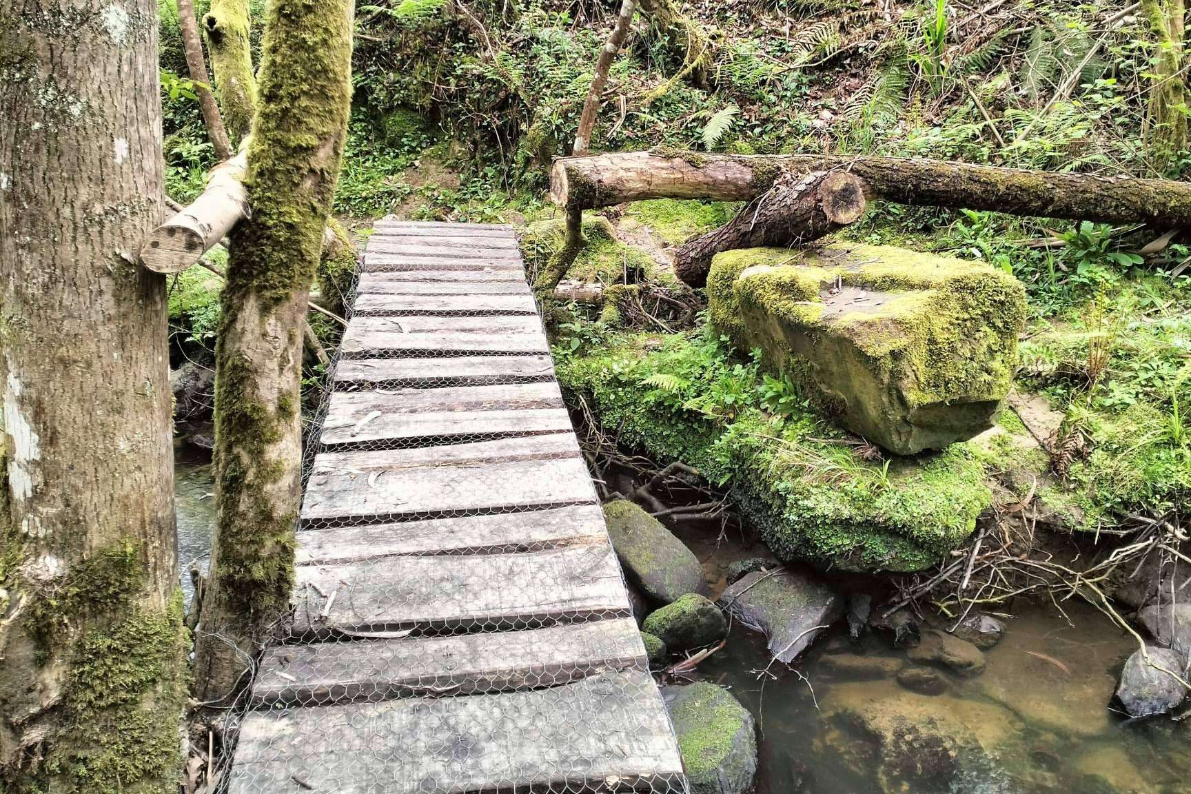 Tres décadas de impulso a la reserva ecoturista en les Mariñes de Villaviciosa