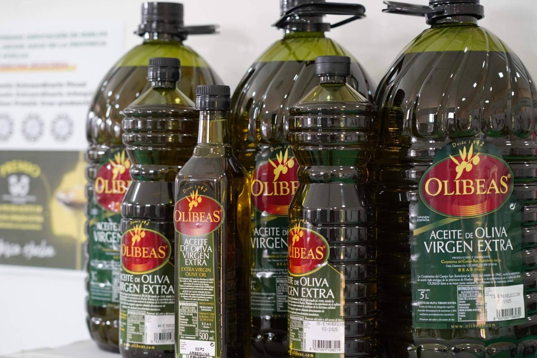 Nueva cosecha de AOVE; qué tener en cuenta antes de comprar aceite de oliva