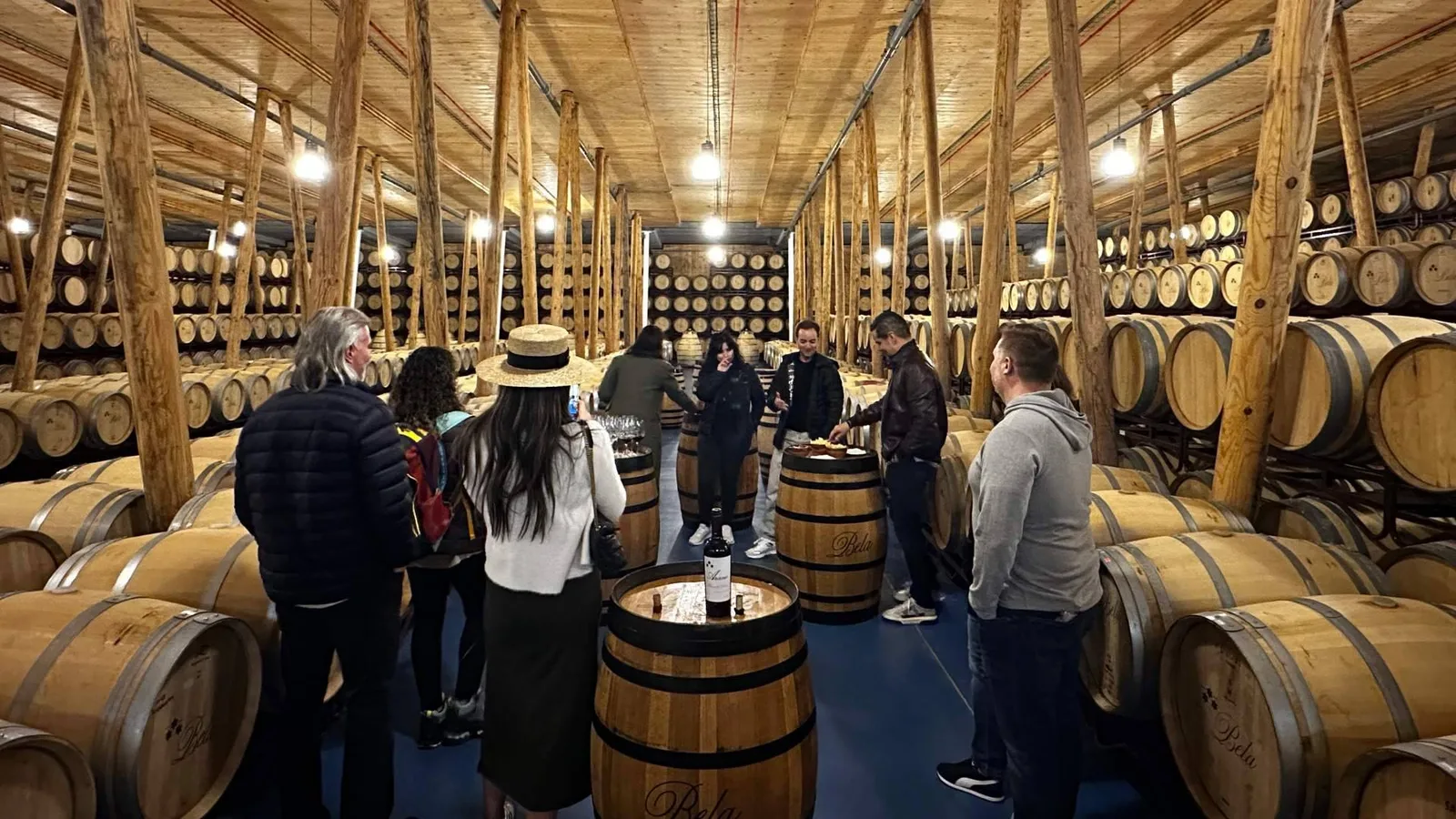 ¿Tour de vinos o ir por cuenta propia? Las claves para disfrutar de las bodegas sin preocuparse por la organización